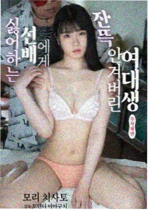 小马宝莉第六季
